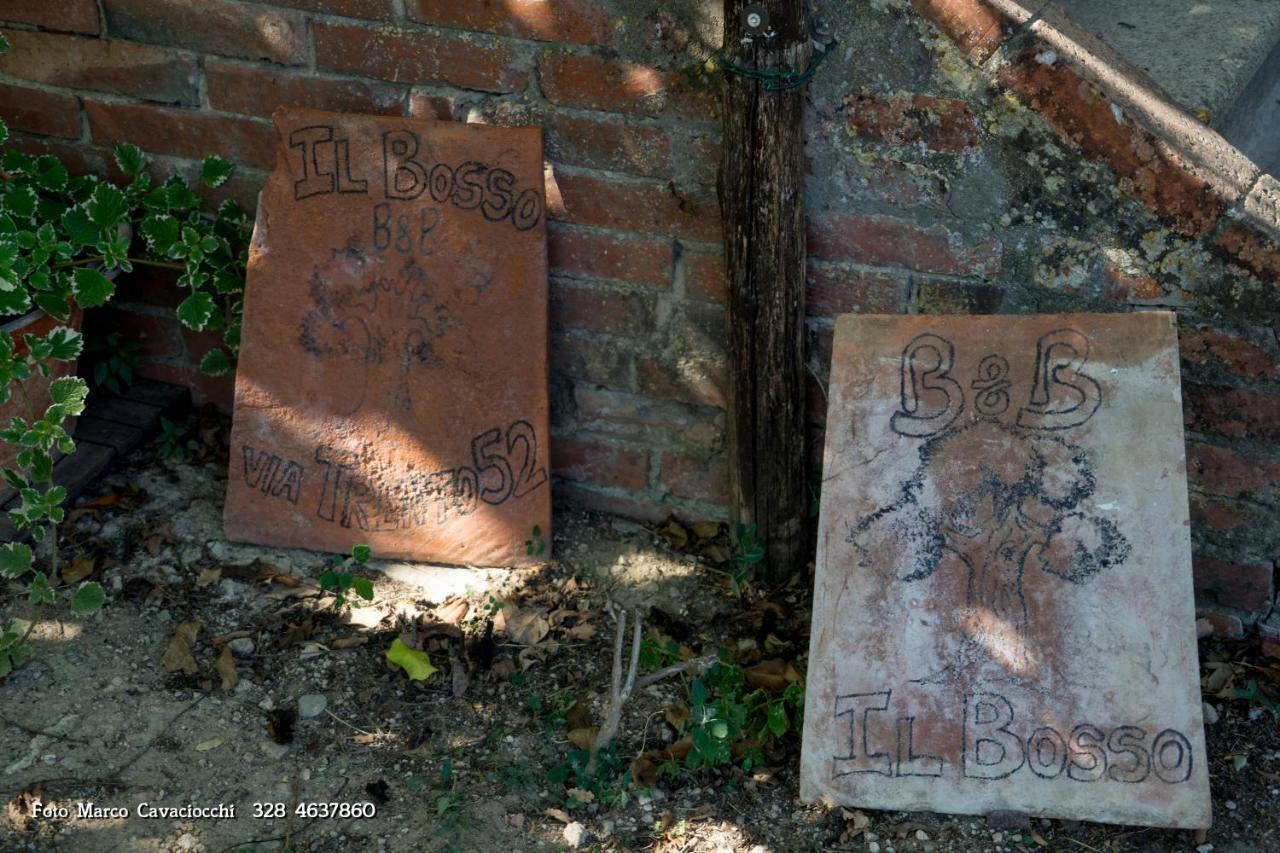 Il Bosso Di Toscana Badia Agnano Bagian luar foto