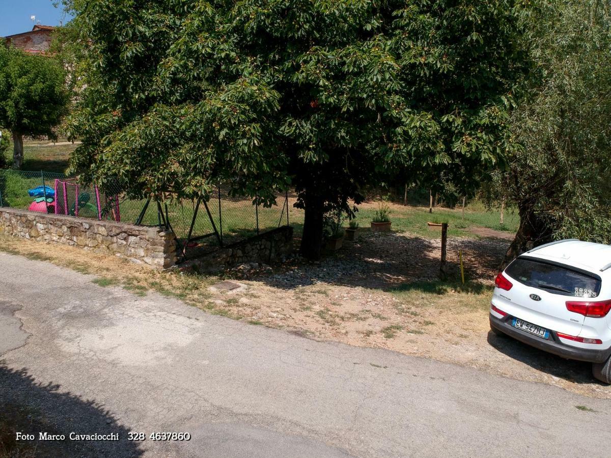 Il Bosso Di Toscana Badia Agnano Bagian luar foto